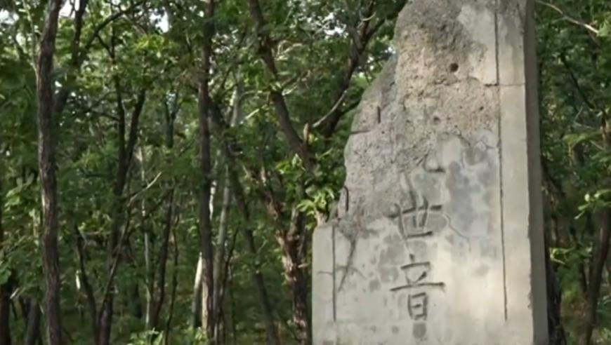 “天关”卫星首批科学成果发布,2025新澳门正版免费资料查询,社会责任方案执行_手机版V4.22