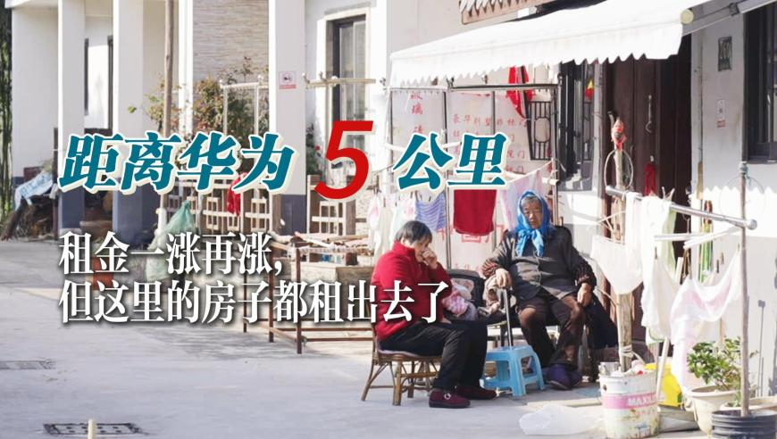 澳门挂牌正版挂牌完整挂牌记录,同济大学采购10台宇树机器人,重点解答解释落实_移动版V9.17