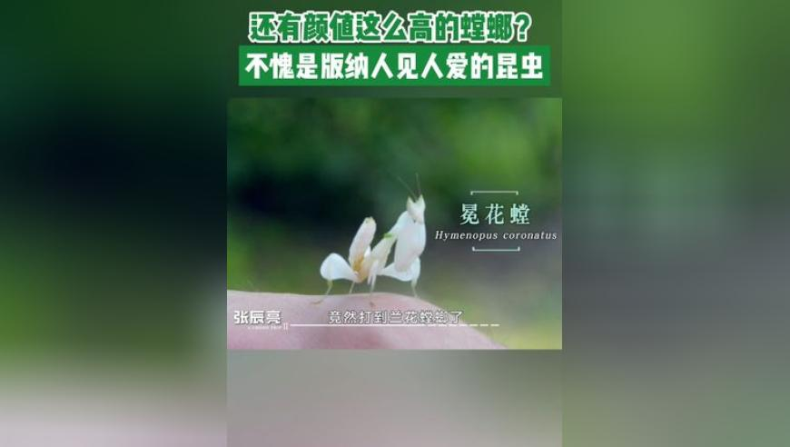 S妈深夜发文,2025澳彩管家婆资料香港王中王,权威独家讨论与热门话题_精简版V5.68
