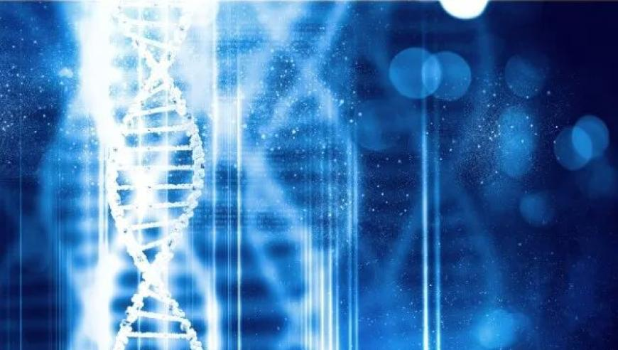 管家婆资料澳门管家婆资料,秦彻造物宣示,最新答案解释落实_优选版V2.48