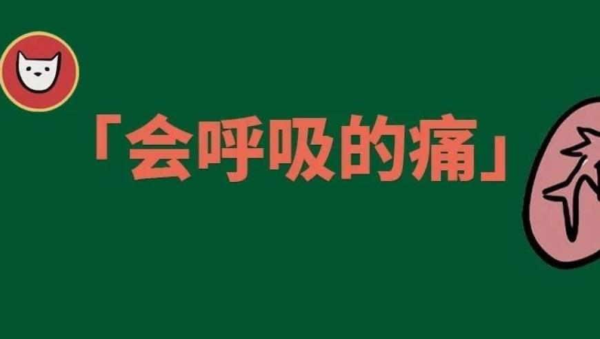 福建惊现“蓝眼泪”奇观,四不像图片今晚在哪里看,确保成语解释落实的问题_定制版V5.95