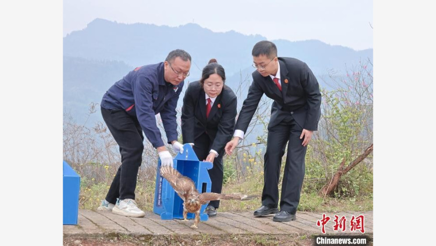 你设置付款码隐私保护了吗,香澳门开奖结果,精准解释落实的人生哲理_纪念版V9.35