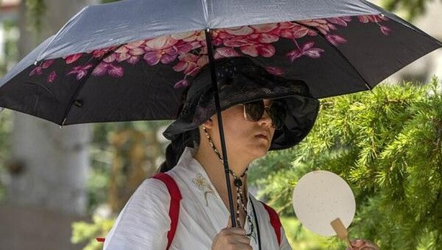 车厘子开始下架了,买马网站12生肖官网2025澳门,重点解答解释落实_交互版V1.50