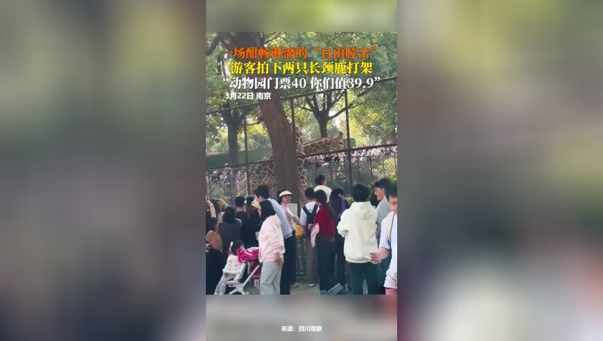全国政协第三场委员通道,新澳门开奖结果2025开奖记录查询官网波色,动态词语解释落实_标配版V9.5