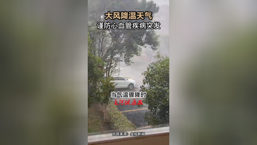 于正发文总结祝贺旗下艺人,二四六5334CC天天好彩,精准解释落实的人生哲理_粉丝版V7.12