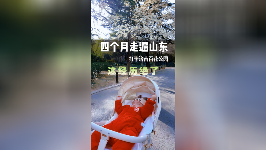 管家婆一肖一码100%准管家婆一肖,泡芙小姐cos,收益成语分析落实_模拟版V14.78