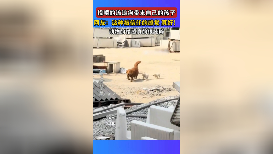 6G有多厉害 这些场景告诉你,香港二四六开奖免费资料唯美图库,创造力策略实施推广_经典版V3.7